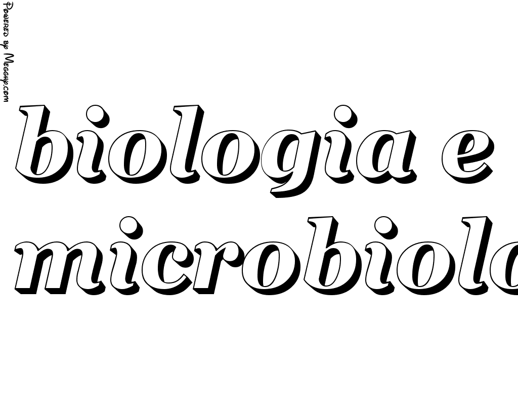 Anteprima immagine