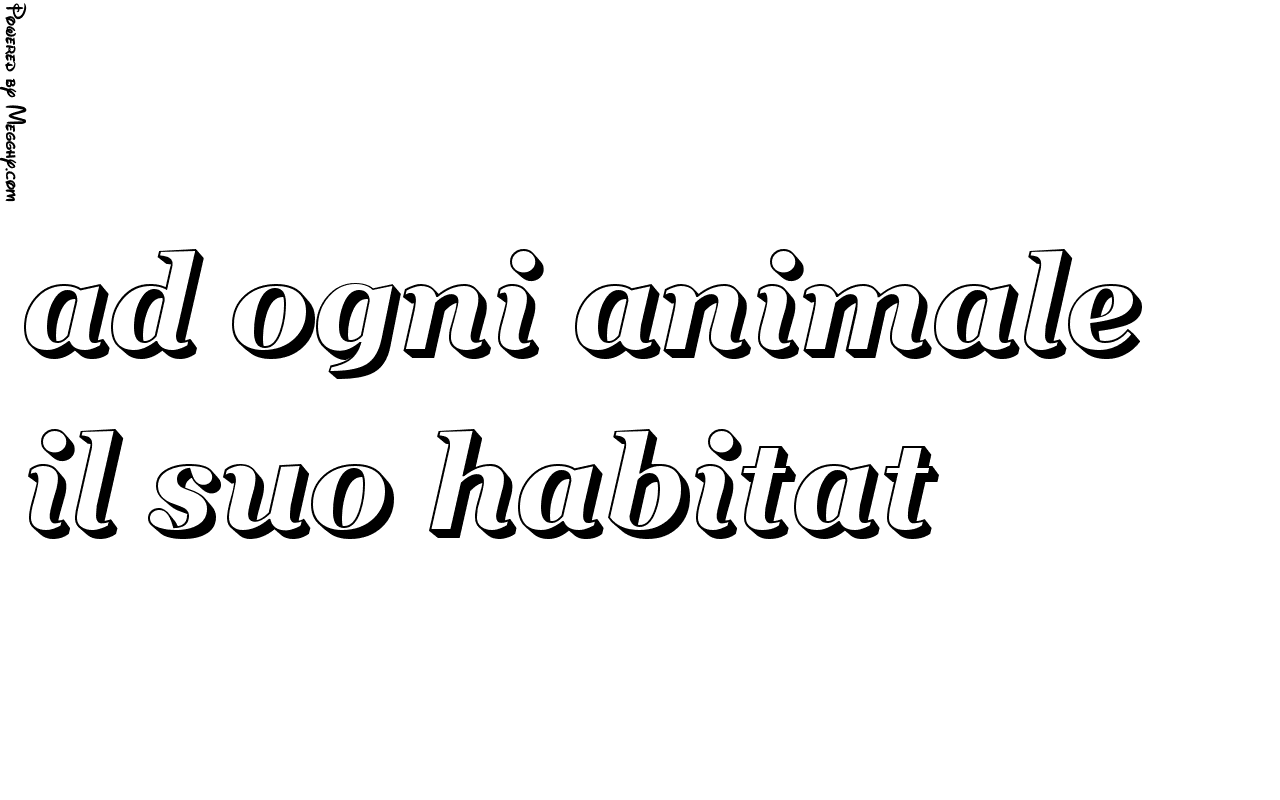 Anteprima immagine