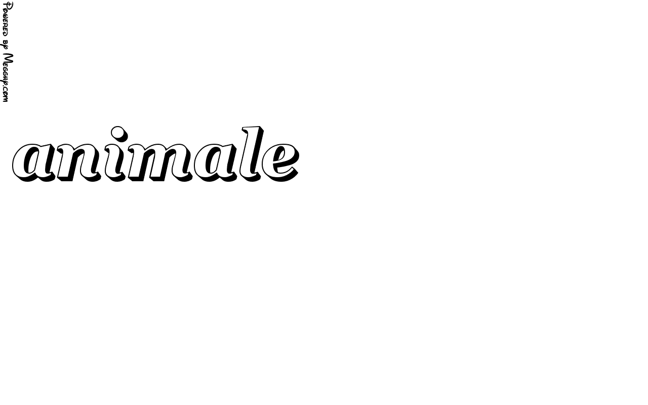 Anteprima immagine