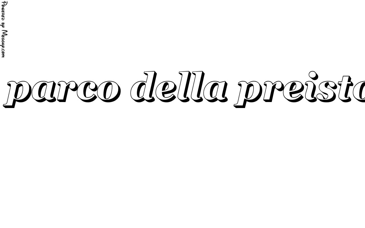 Anteprima immagine