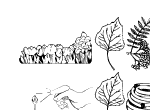 Anteprima immagine