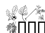 Anteprima immagine