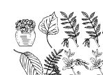 Anteprima immagine