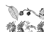 Anteprima immagine
