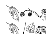 Anteprima immagine