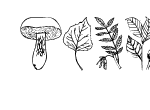 Anteprima immagine