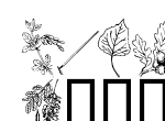 Anteprima immagine