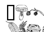 Anteprima immagine