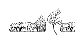Anteprima immagine
