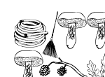 Anteprima immagine