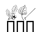 Anteprima immagine