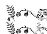 Anteprima immagine