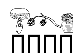 Anteprima immagine