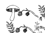 Anteprima immagine
