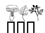 Anteprima immagine