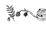 Anteprima immagine