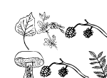 Anteprima immagine