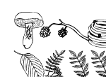 Anteprima immagine