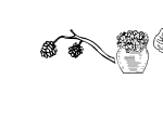 Anteprima immagine