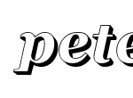 Anteprima immagine