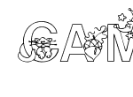 Anteprima immagine