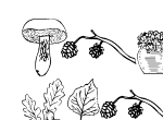 Anteprima immagine