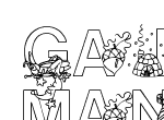 Anteprima immagine