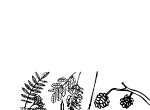 Anteprima immagine