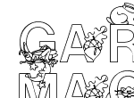 Anteprima immagine