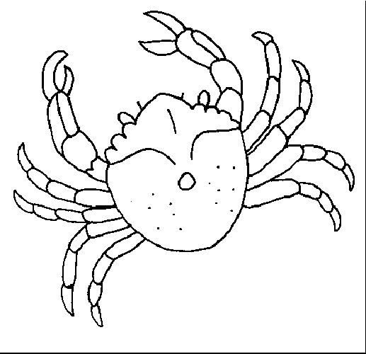 Disegno 11 Crostacei