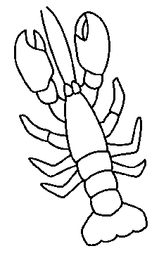 Disegno 5 Crostacei