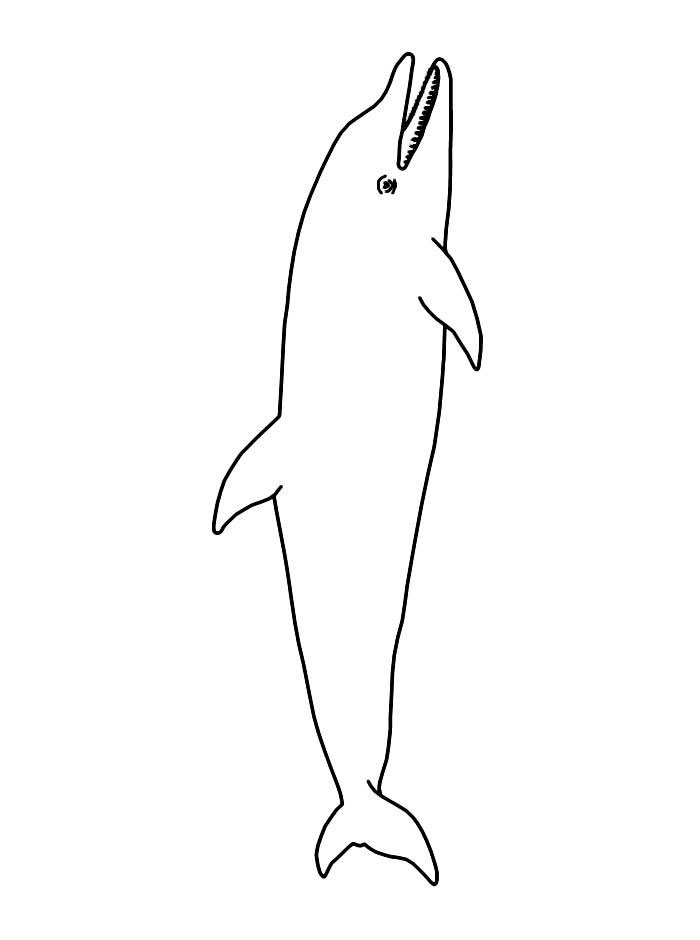 Disegno 10 Delfini