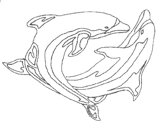 Disegno 35 Delfini