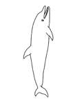 Disegno 10 Delfini