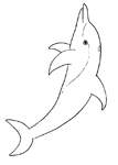 Disegno 12 Delfini