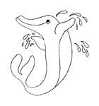Disegno 13 Delfini