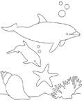 Disegno 27 Delfini