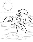 Disegno 29 Delfini