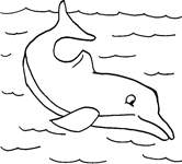 Disegno 7 Delfini
