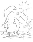 Disegno 8 Delfini
