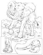 Disegno 10 Didattica