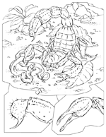 Disegno 37 Didattica