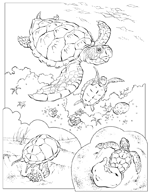 Disegno 39 Didattica