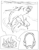 Disegno 40 Didattica