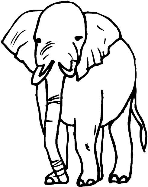 Disegno 15 Elefanti
