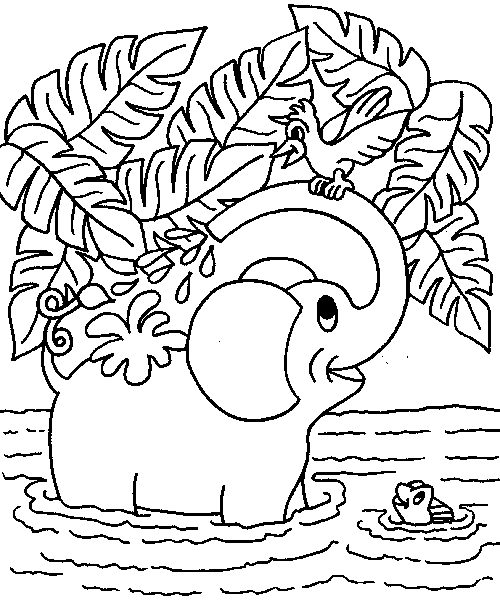 Disegno 17 Elefanti