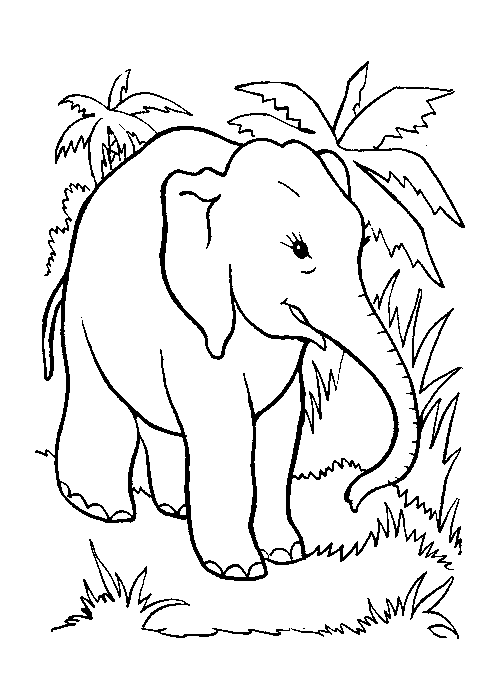 Disegno 46 Elefanti