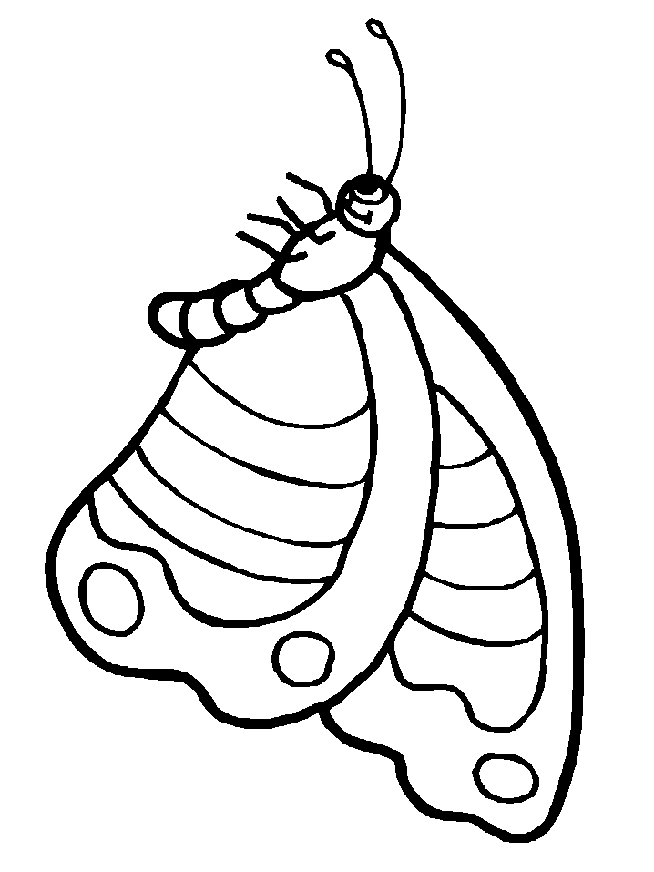 Disegno 123 Farfalle