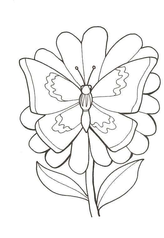 Disegno 129 Farfalle