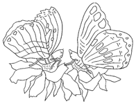 Disegno 24 Farfalle